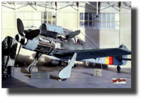 Focke Wulf Fw190 D. Scratch built in metal by Rojas Bazán. 1:15 scale. Focke Wulf Fw190 D. Scratch built in metal by Rojas Bazán. 1:15 scale.